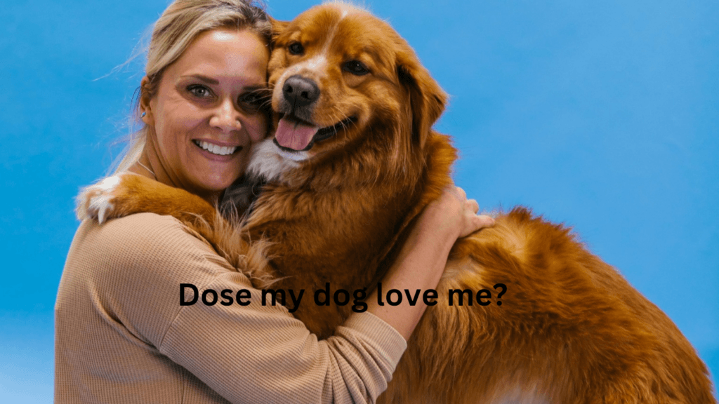 Does my dog love me?