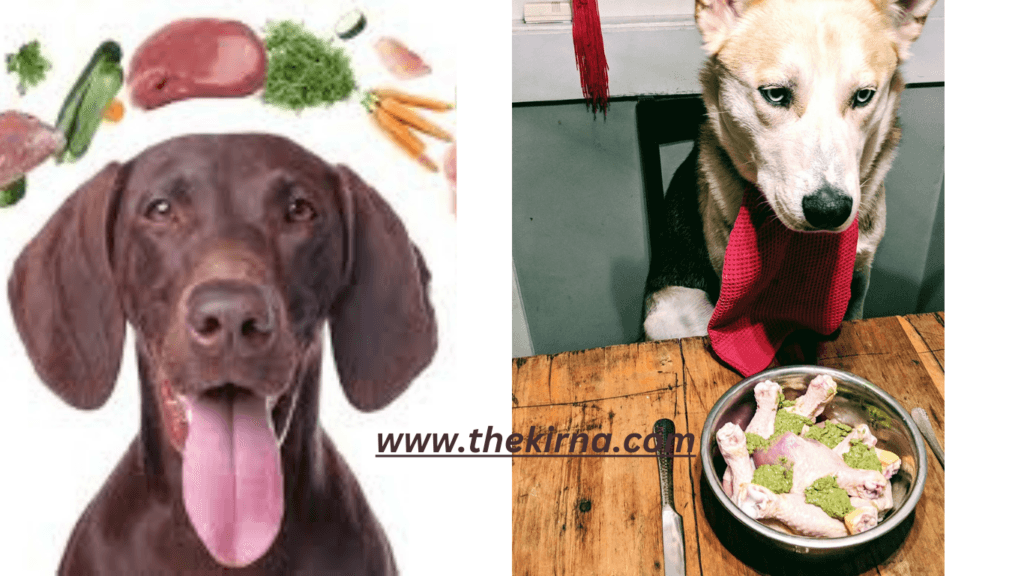 how to get dog hair to grow faster