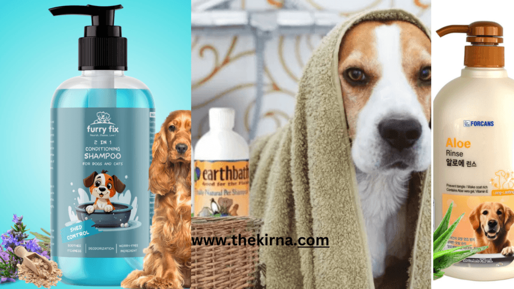how to get dog hair to grow faster