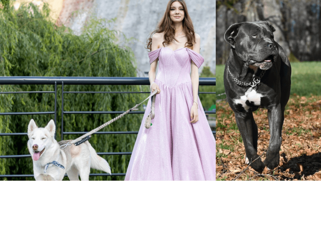 how to get dog hair to grow faster