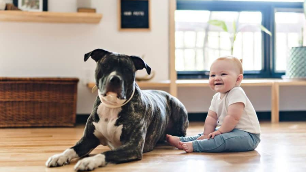 are pitbulls good with kids