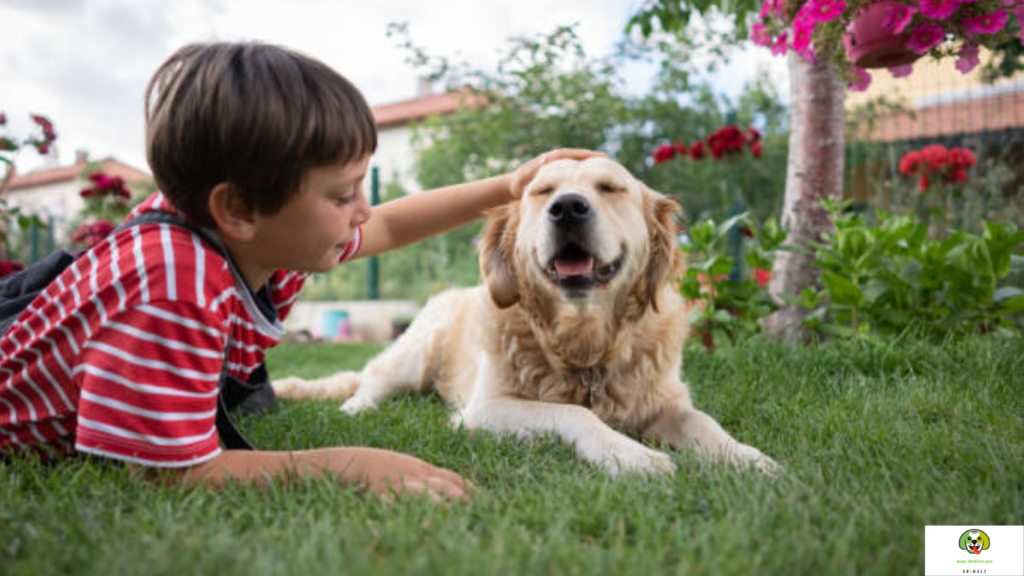 are pitbulls good with kids