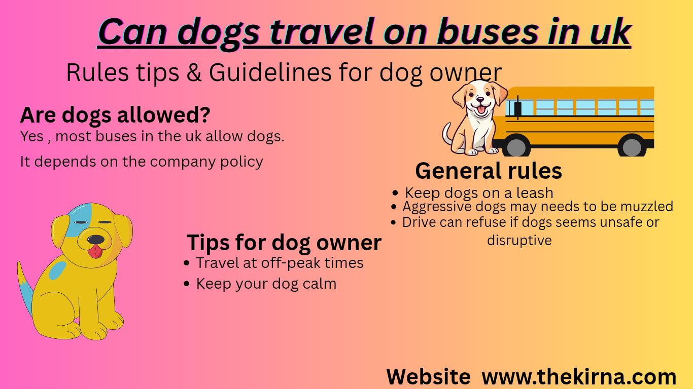 Can Dogs Travel on Buses in the UK? Everything You Need to Know Before