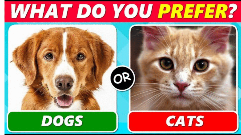 Should I Get a Cat or a Dog Quiz? 
