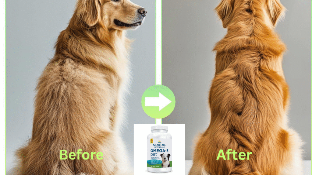 Best Vitamins For Dog Hair Growth 
