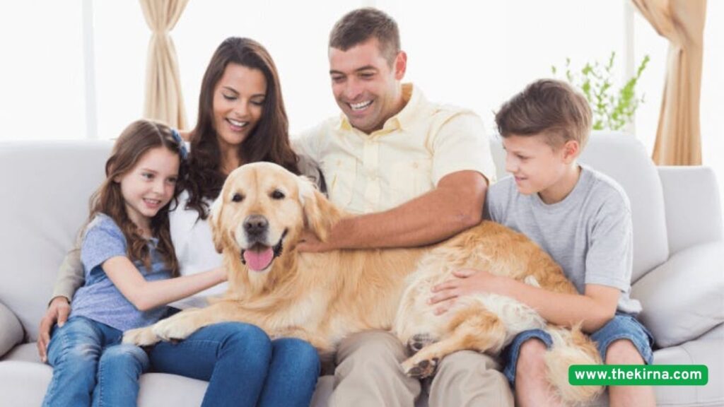 Are Beagle Dogs Good Family Pets