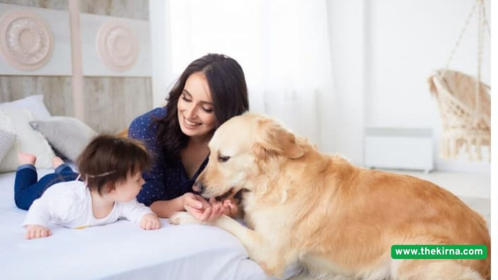 Are Beagle Dogs Good Family Pets