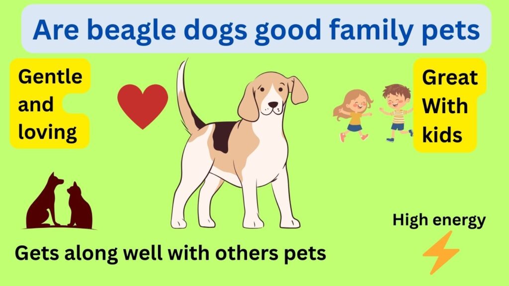 Are Beagle Dogs Good Family Pets