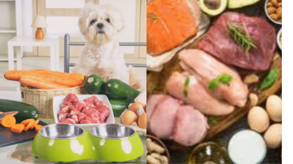 Best Vitamins For Dog Hair Growth 