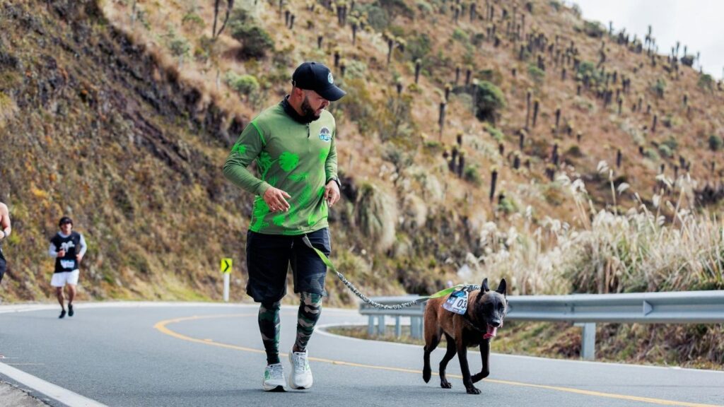 do dogs run faster than humans