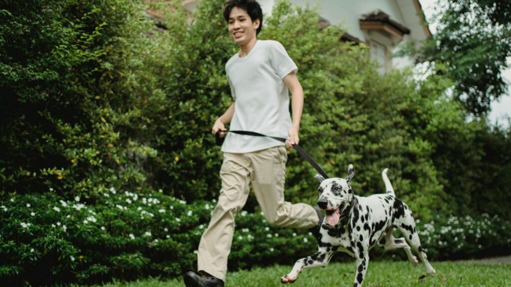 do dogs run faster than humans